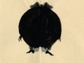 N-501
