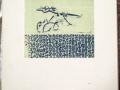 edition_7