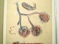 edition_8