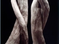 Mic⁫hel-Graniou-photographie