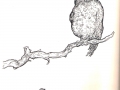 N°6401-D-GRD-Qui-ou-quoi-dessin-Chine-32x24cm