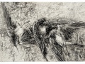 Louis Pons, Les trois grives - N° 2204 - 1960 - 67x102 cm